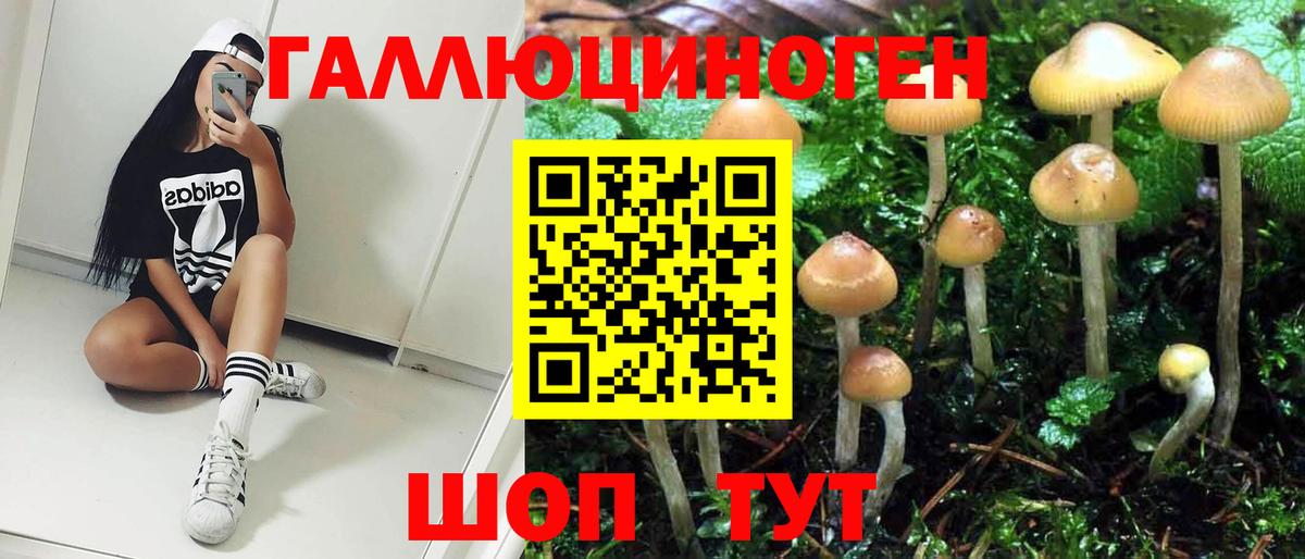 Галлюциногенные грибы Magic Shrooms  Вход с VPN  Избербаш 