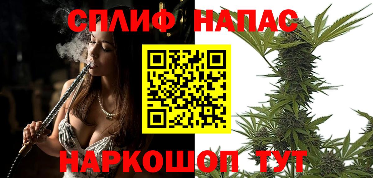 МАРИХУАНА сатива Избербаш